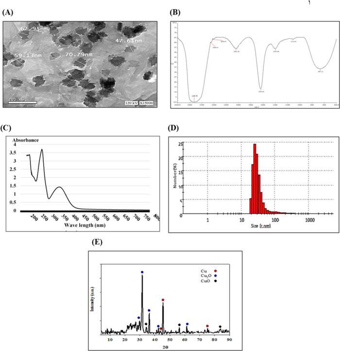 Fig. 2