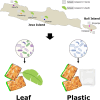 Image, graphical abstract