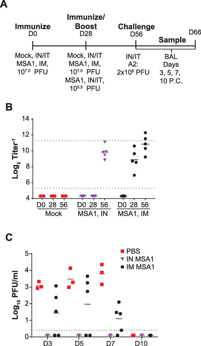 Fig 6