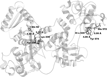 FIG. 6.