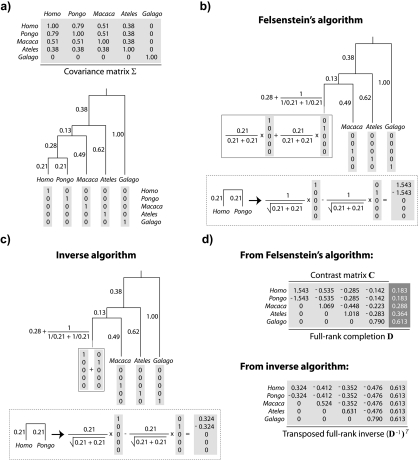 FIGURE 2