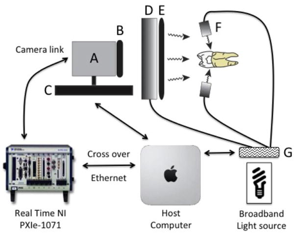 Fig 1