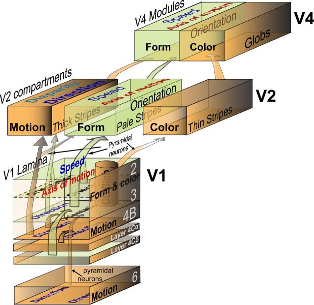 Figure 11.