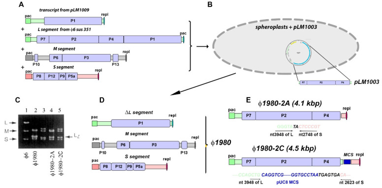 Figure 9