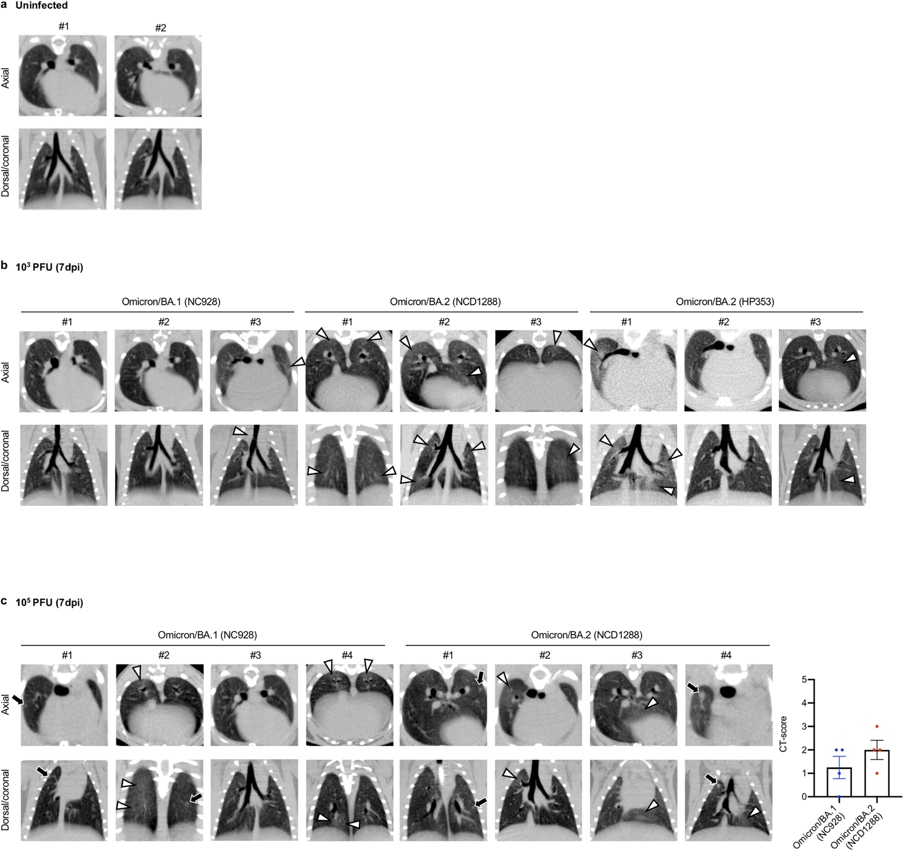 Extended Data Fig. 5 |