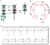 Fig. 10