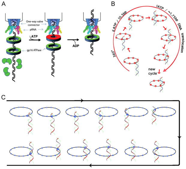 Fig. 10