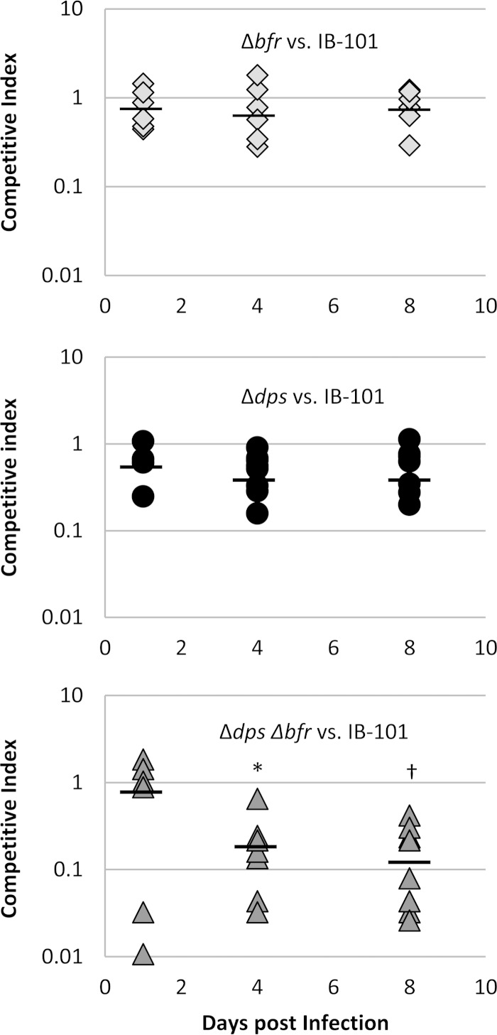 FIG 5