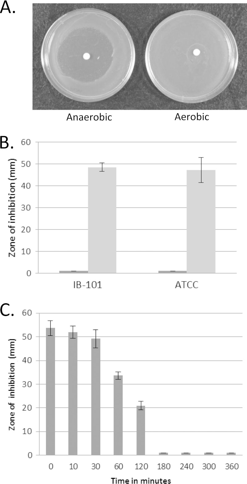 FIG 1