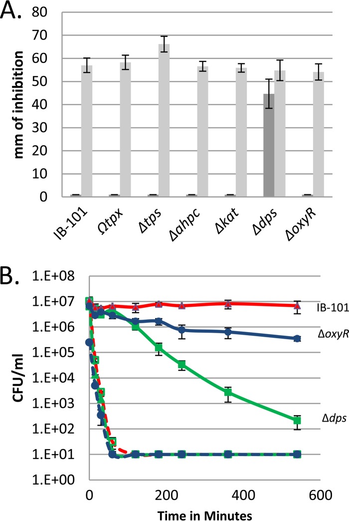 FIG 2