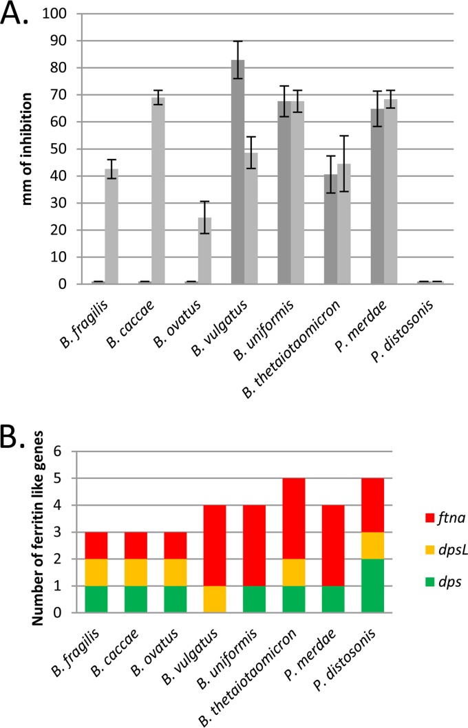 FIG 6