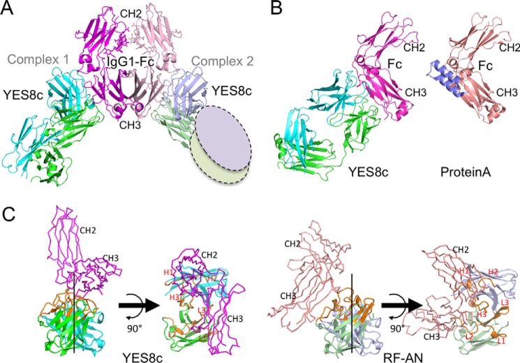 Figure 2.