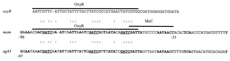 FIG. 1