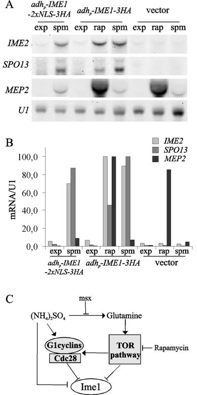 FIG. 7.