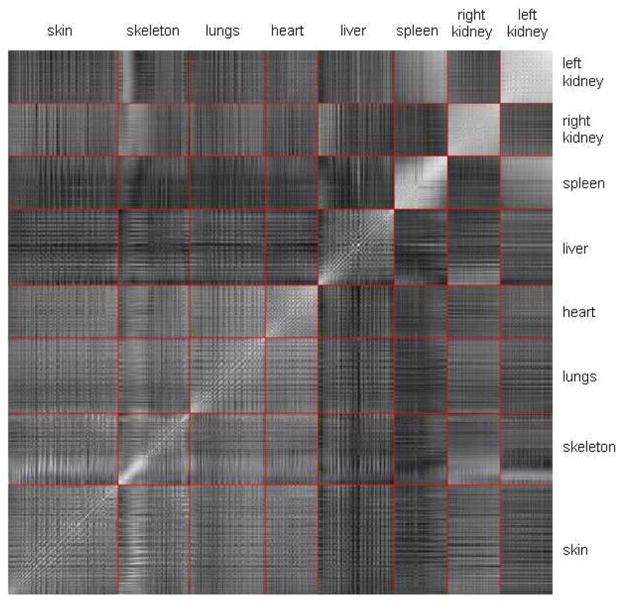 Fig. 11