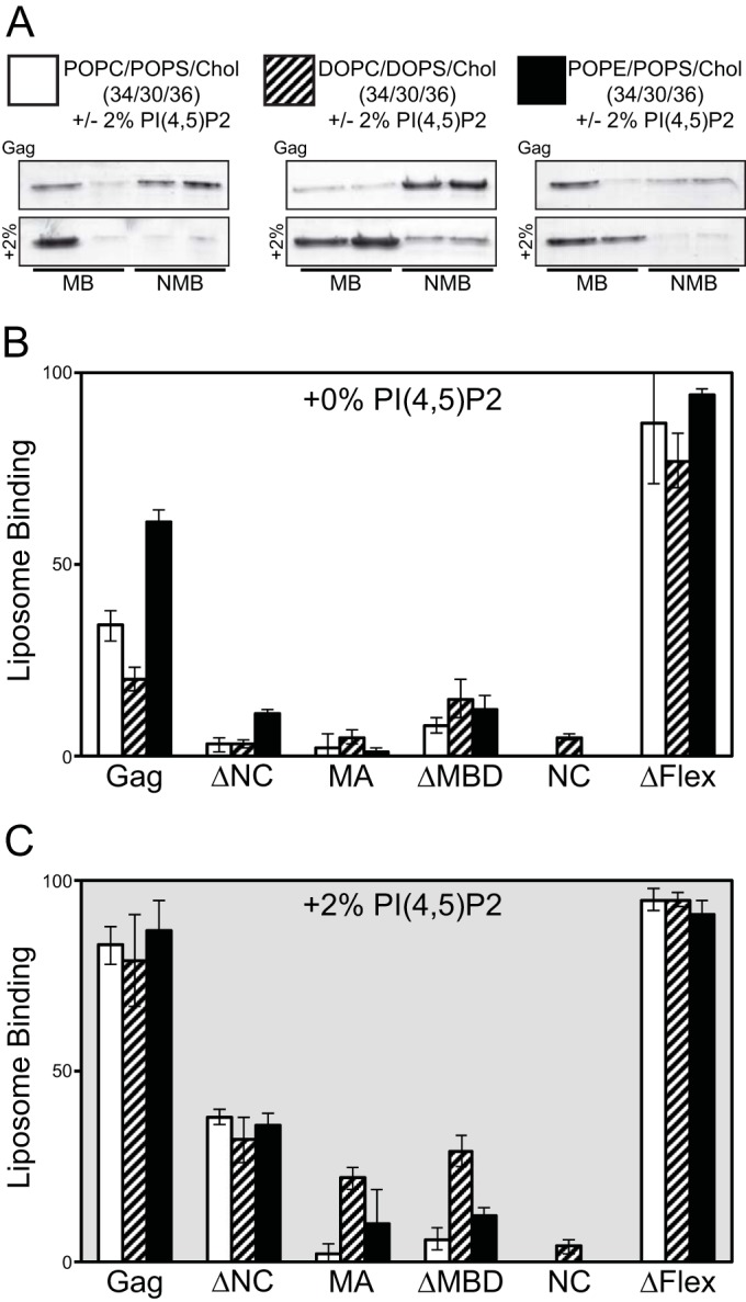 FIG 5