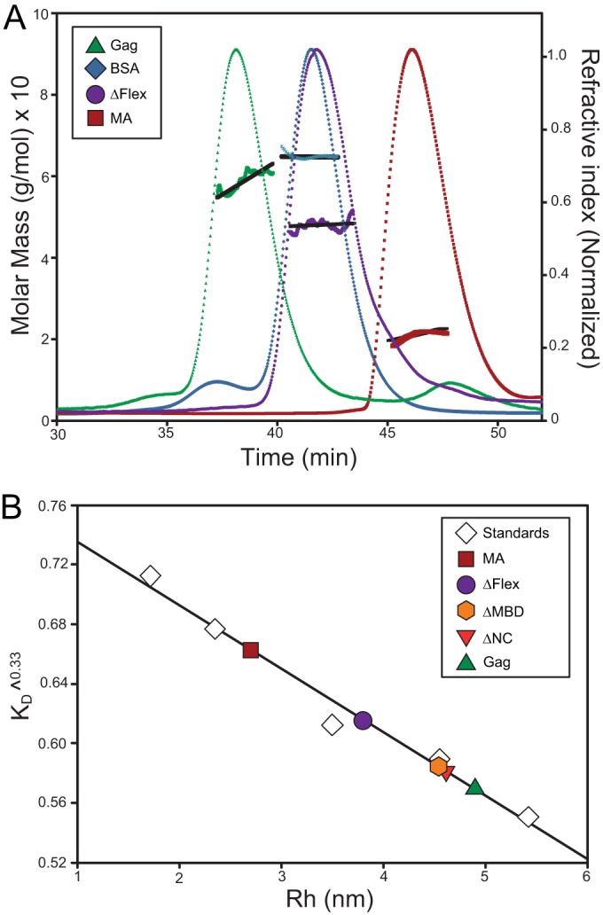 FIG 2