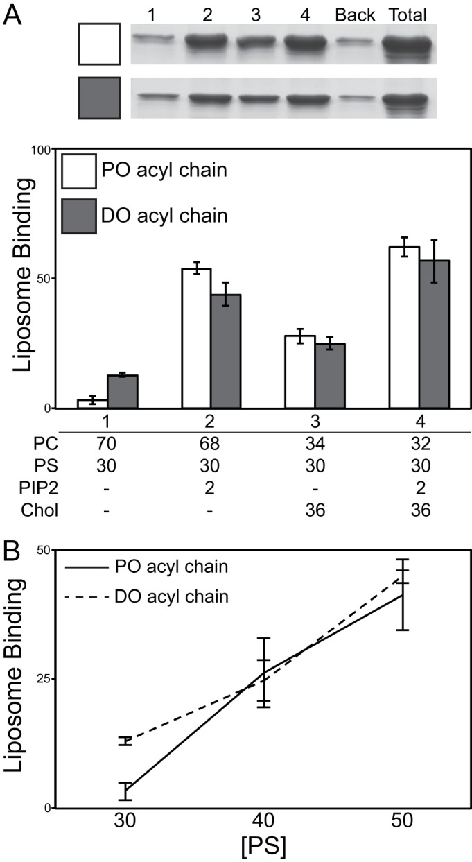 FIG 6