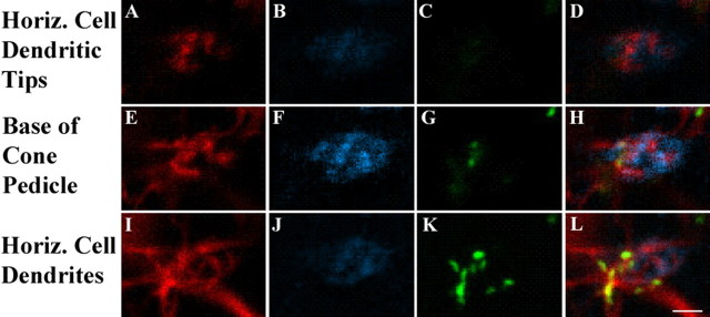 Figure 12.