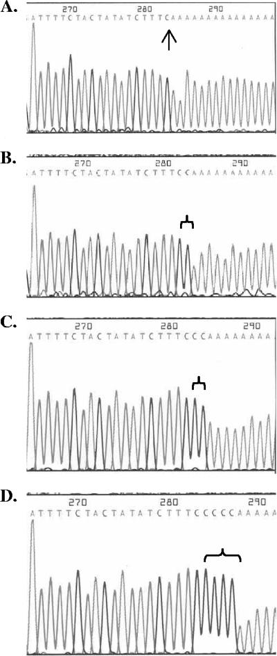 FIG. 6.