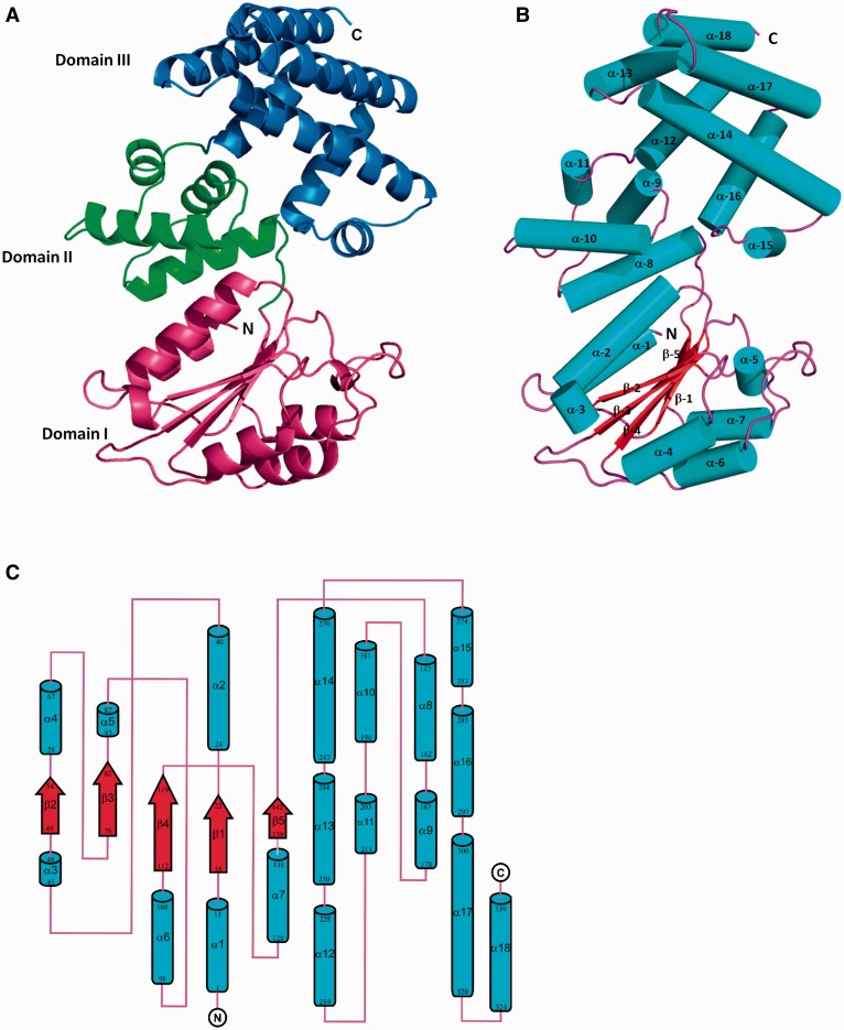 Figure 3.