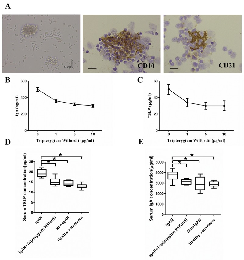 Figure 10