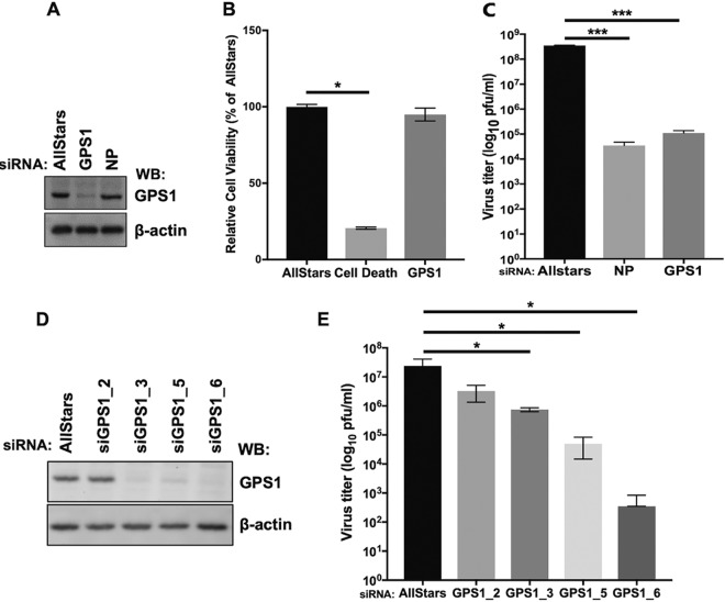 FIG 2