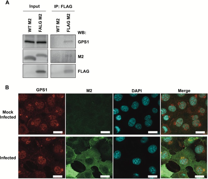 FIG 1