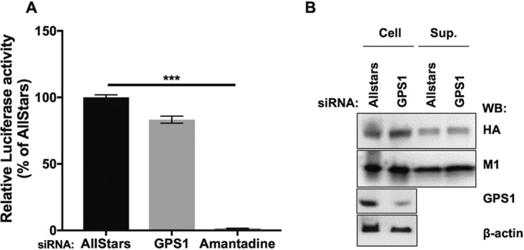 FIG 3