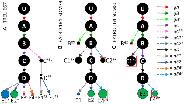 Figure 4.