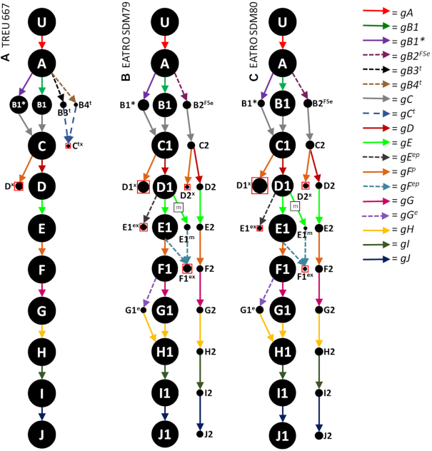 Figure 1.