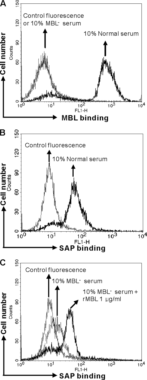 FIGURE 3.