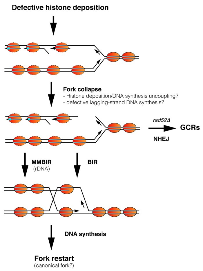 graphic file with name bioa-2-6-g1.jpg