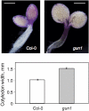 Fig. 2.