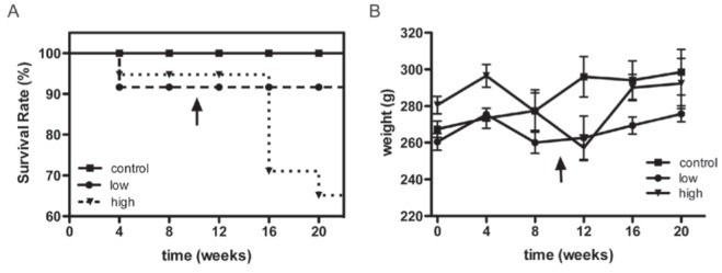 Figure 2)