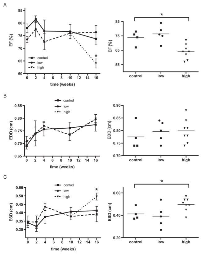 Figure 4)