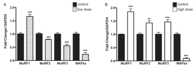 Figure 7)