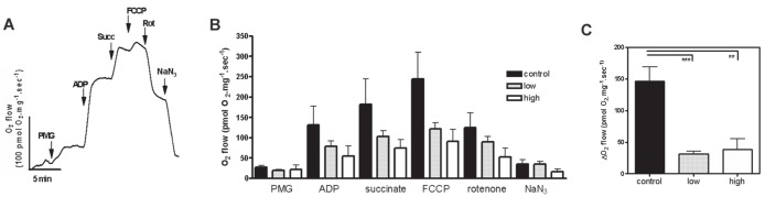 Figure 6)