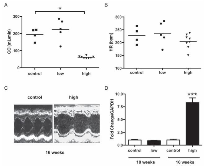 Figure 5)