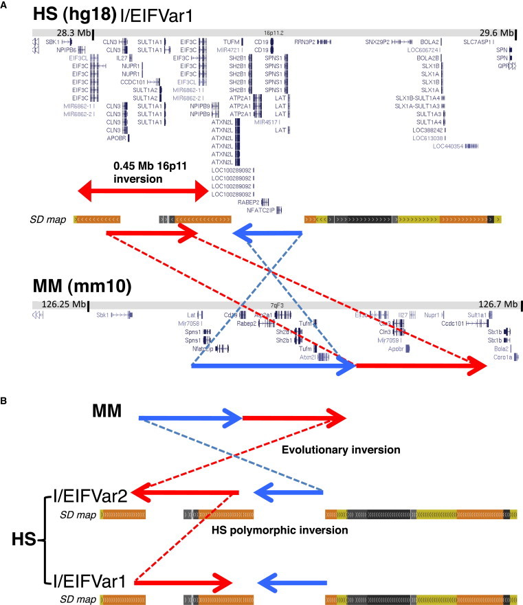 Figure 2