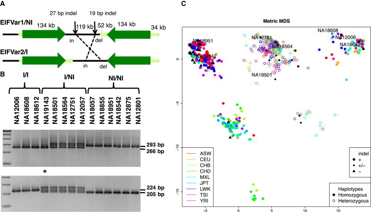 Figure 3