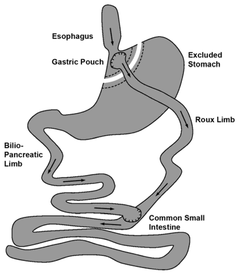 Fig. 1