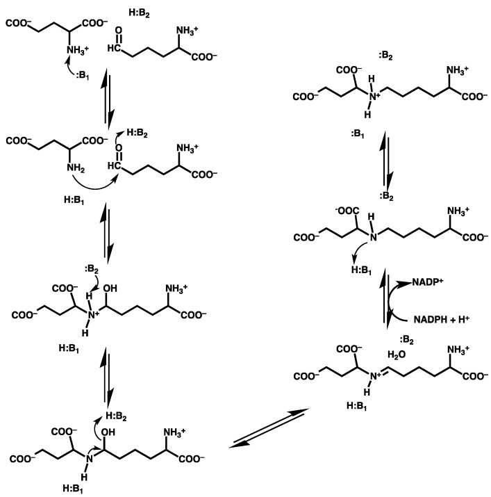 Scheme 2