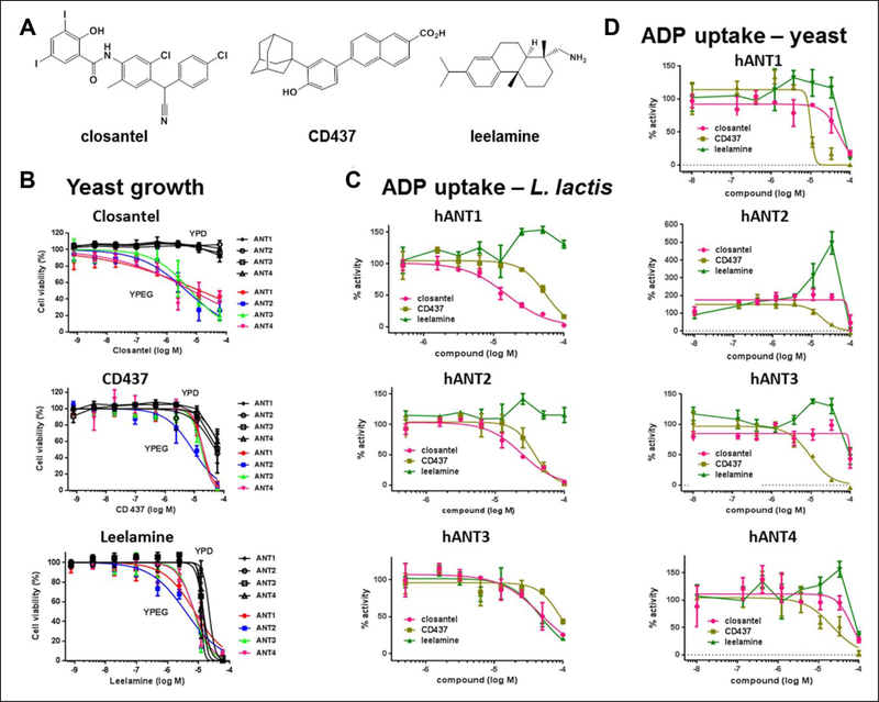 Figure 3.