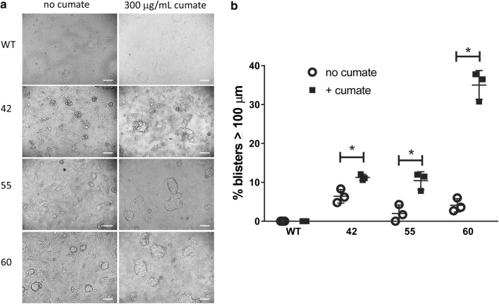 Figure 5