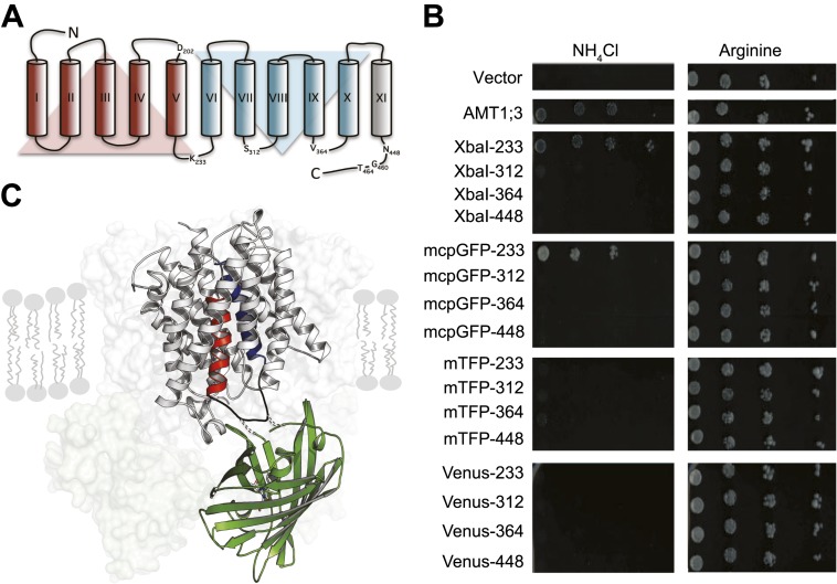 Figure 1.