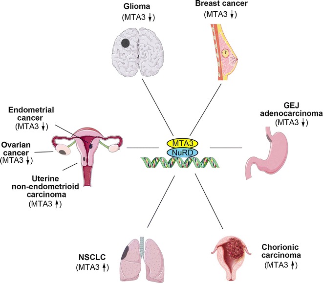 Fig. 3