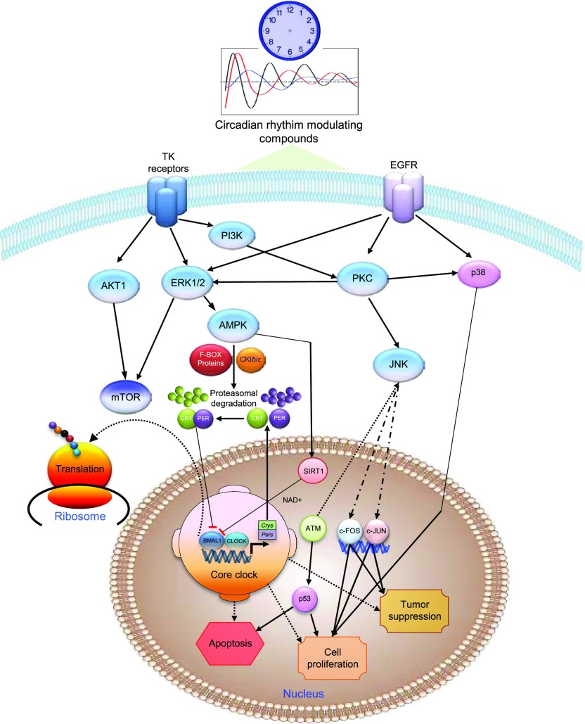 Figure 7.