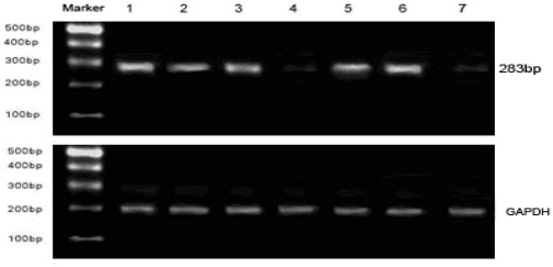 Figure 5.