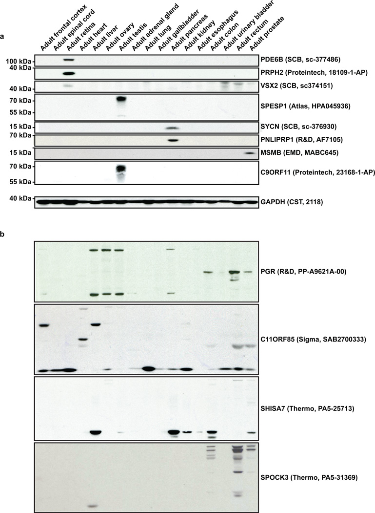 Extended Data Figure 3